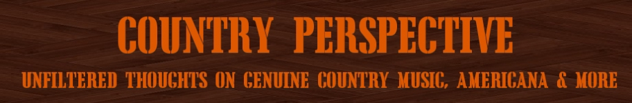 country-perspective-banner